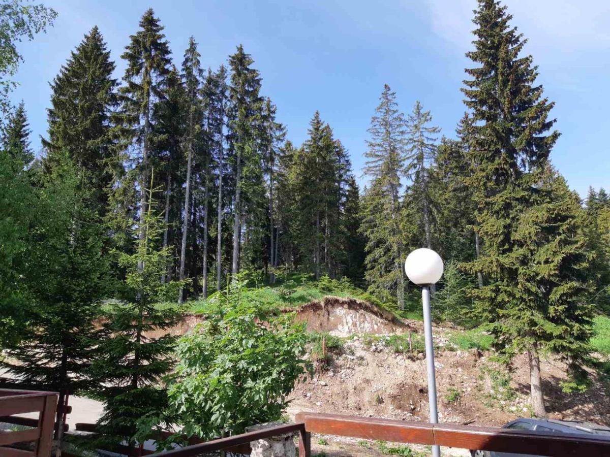 Apartments Sipcic Zabljak  Luaran gambar