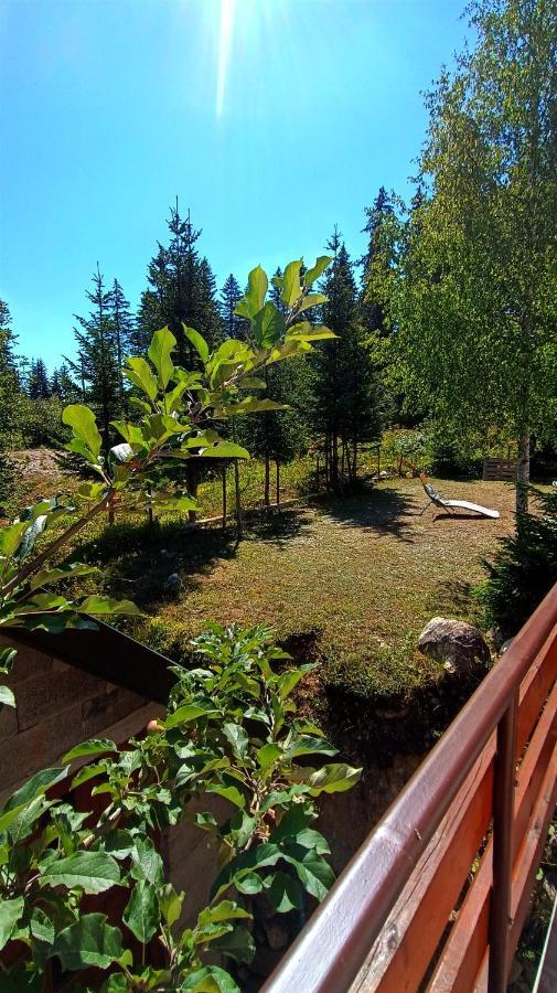 Apartments Sipcic Zabljak  Luaran gambar