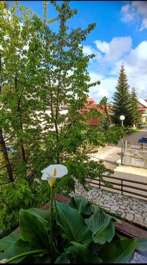 Apartments Sipcic Zabljak  Luaran gambar